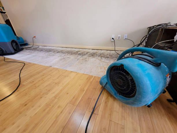 Professional Flood Damage Cleanup technician working in Rensselaer, IN